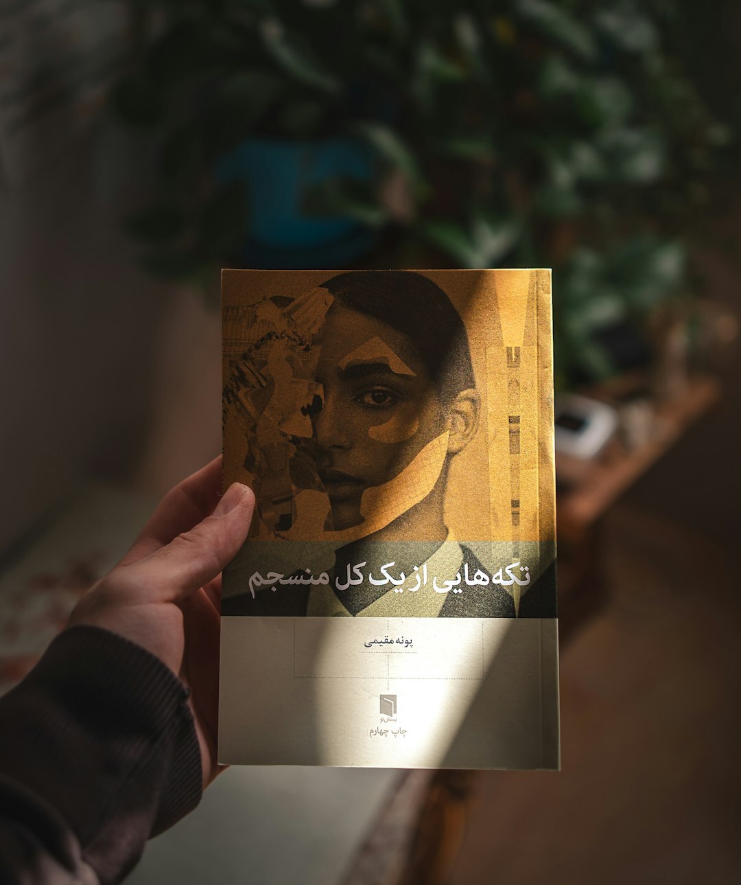 detective book cover